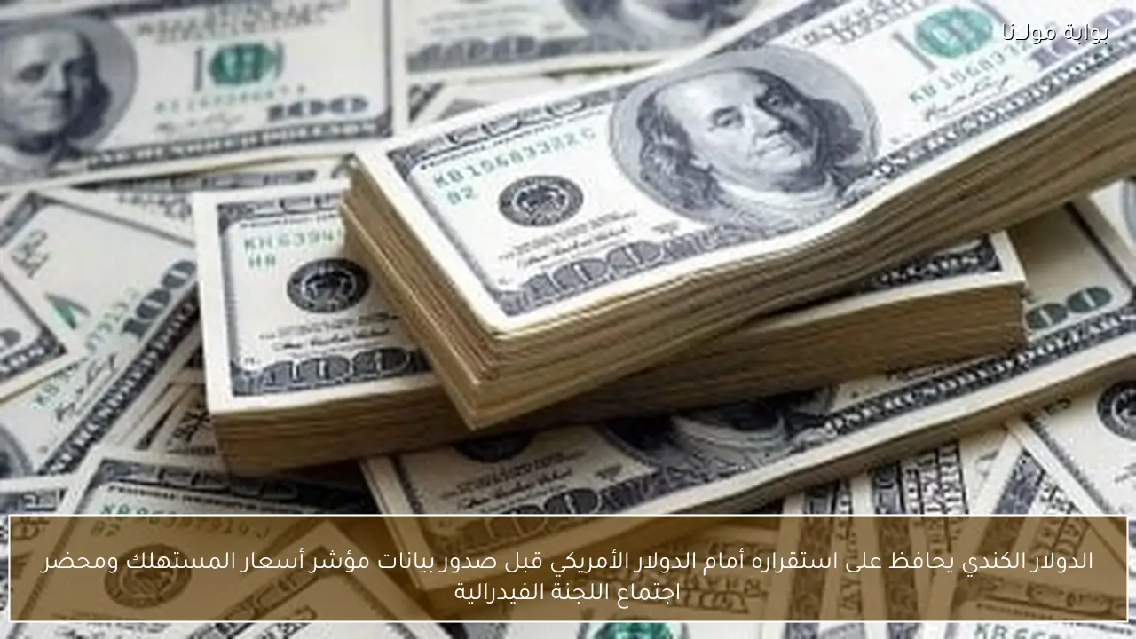 الدولار الكندي يحافظ على استقراره أمام الدولار الأمريكي قبل صدور بيانات مؤشر أسعار المستهلك ومحضر اجتماع اللجنة الفيدرالية