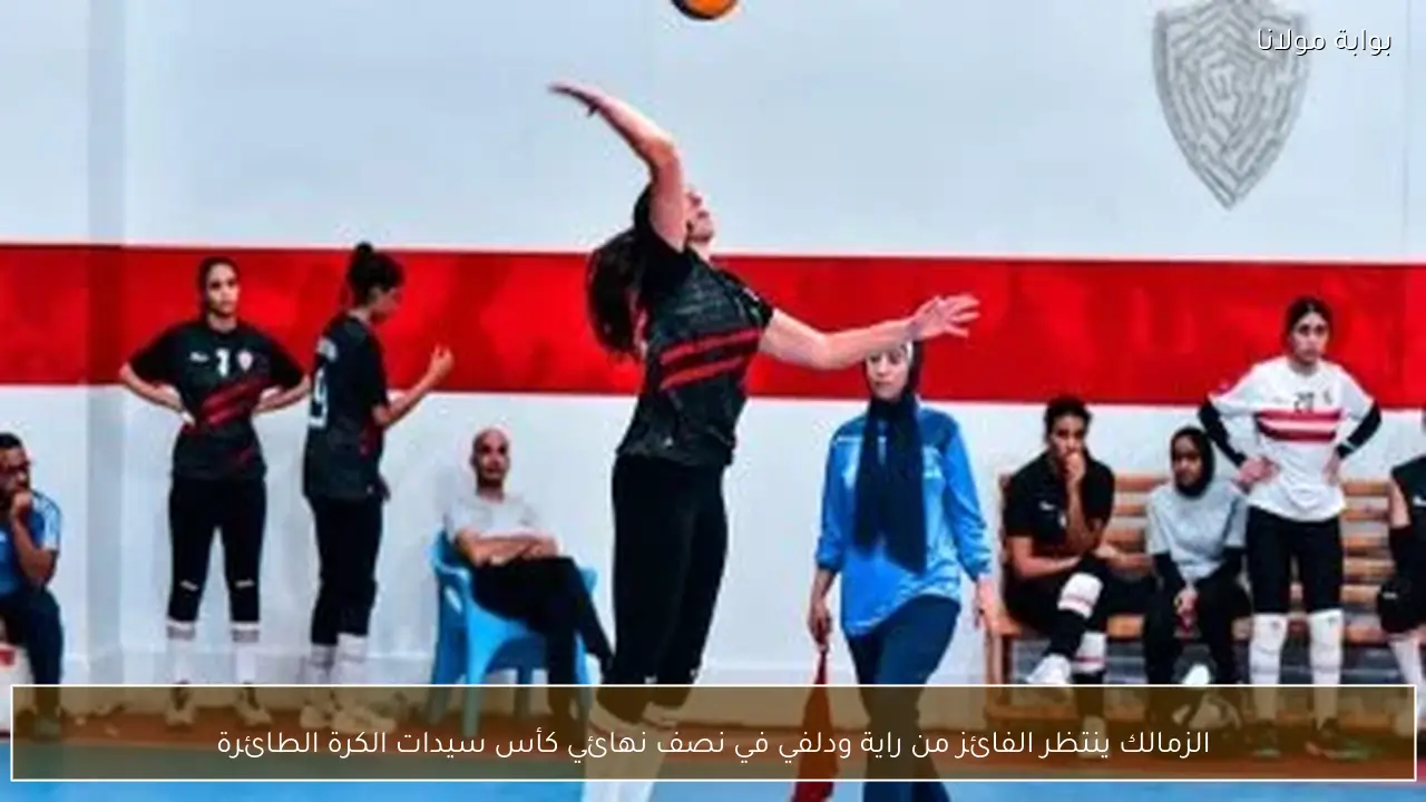 الزمالك ينتظر الفائز من راية ودلفي في نصف نهائي كأس سيدات الكرة الطائرة