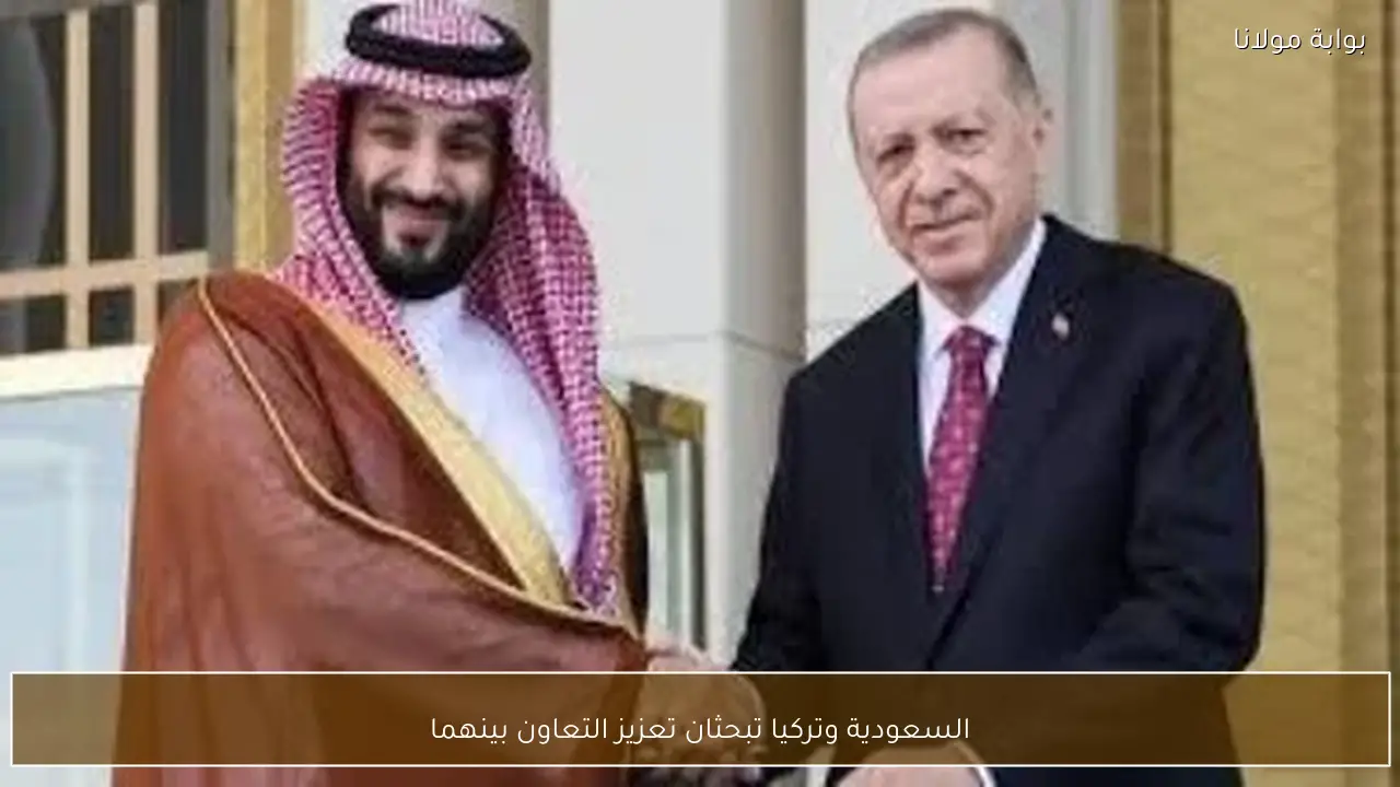 السعودية وتركيا تبحثان تعزيز التعاون بينهما