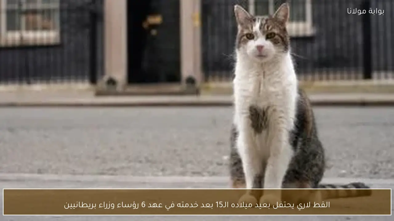 القط لاري يحتفل بعيد ميلاده الـ15 بعد خدمته في عهد 6 رؤساء وزراء بريطانيين