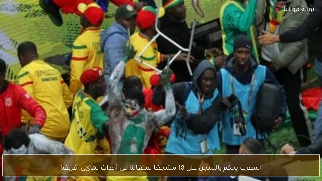 المغرب يحكم بالسجن على 18 مشجعًا سنغاليًا في أحداث نهائي أفريقيا