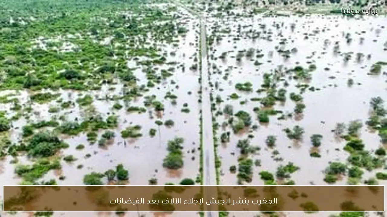 المغرب ينشر الجيش لإجلاء الآلاف بعد الفيضانات