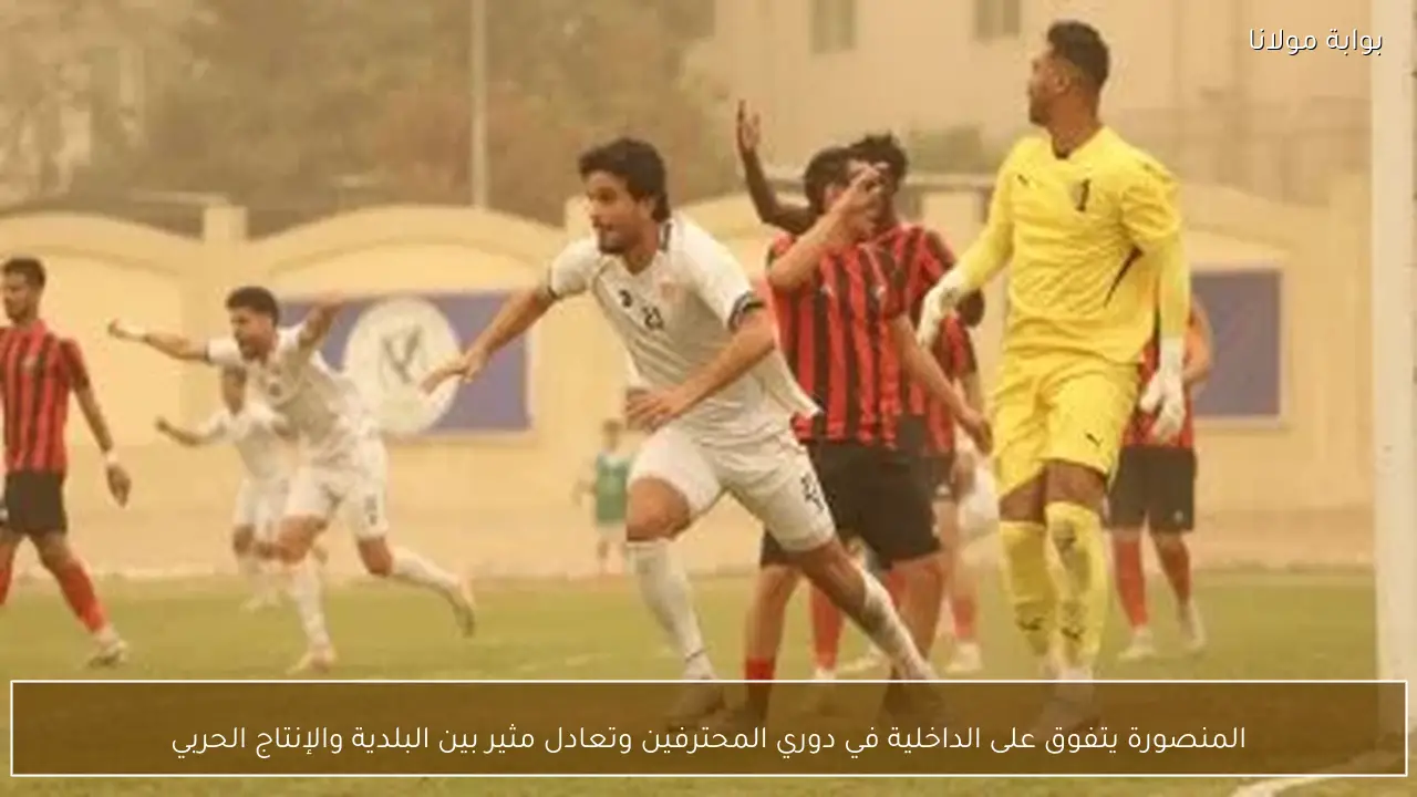المنصورة يتفوق على الداخلية في دوري المحترفين وتعادل مثير بين البلدية والإنتاج الحربي