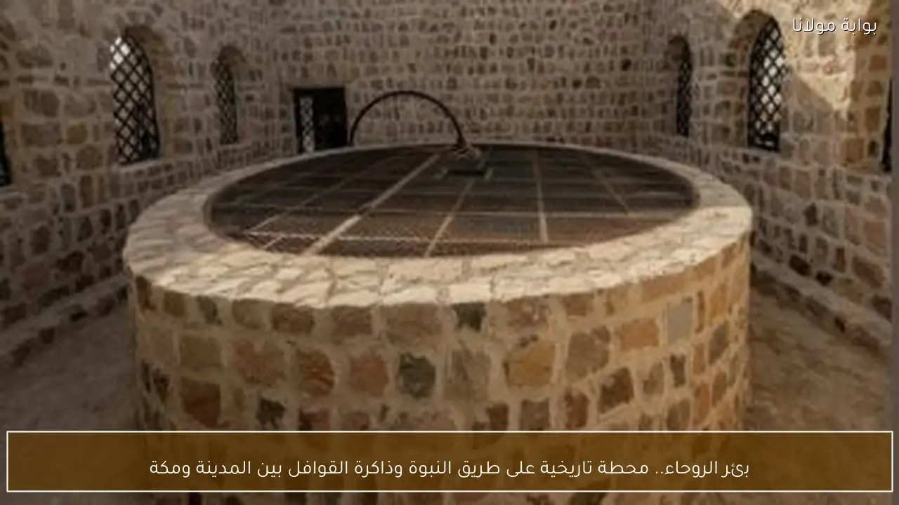 بئر الروحاء.. محطة تاريخية على طريق النبوة وذاكرة القوافل بين المدينة ومكة