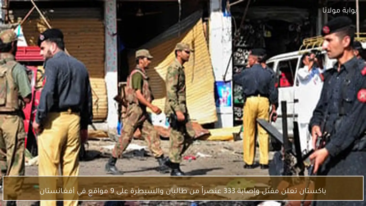 باكستان تعلن مقتل وإصابة 333 عنصراً من طالبان والسيطرة على 9 مواقع في أفغانستان