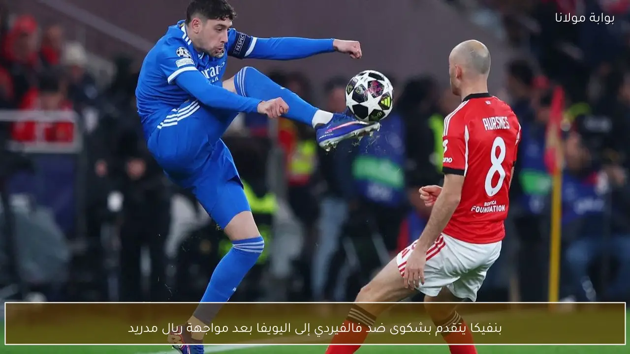 بنفيكا يتقدم بشكوى ضد فالفيردي إلى اليويفا بعد مواجهة ريال مدريد