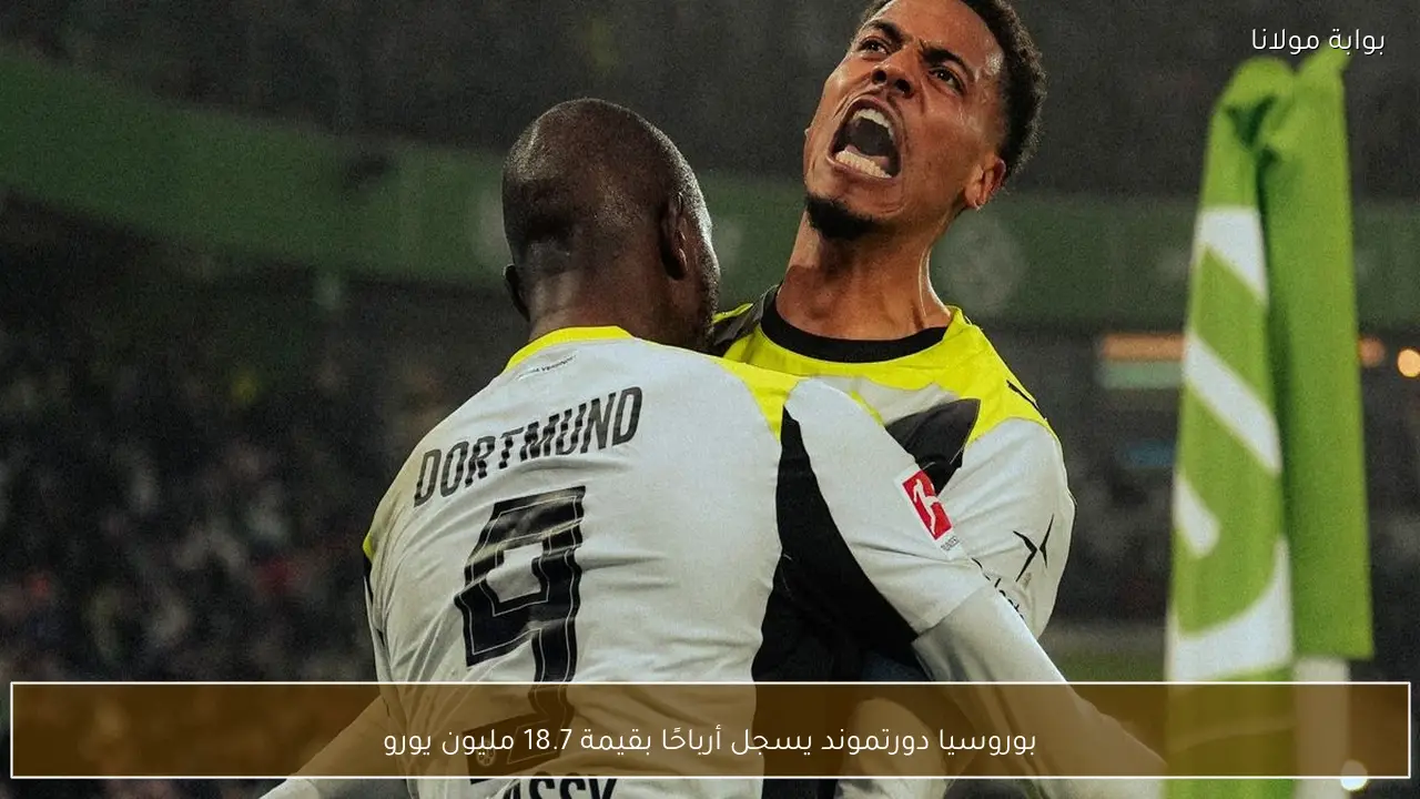 بوروسيا دورتموند يسجل أرباحًا بقيمة 18.7 مليون يورو