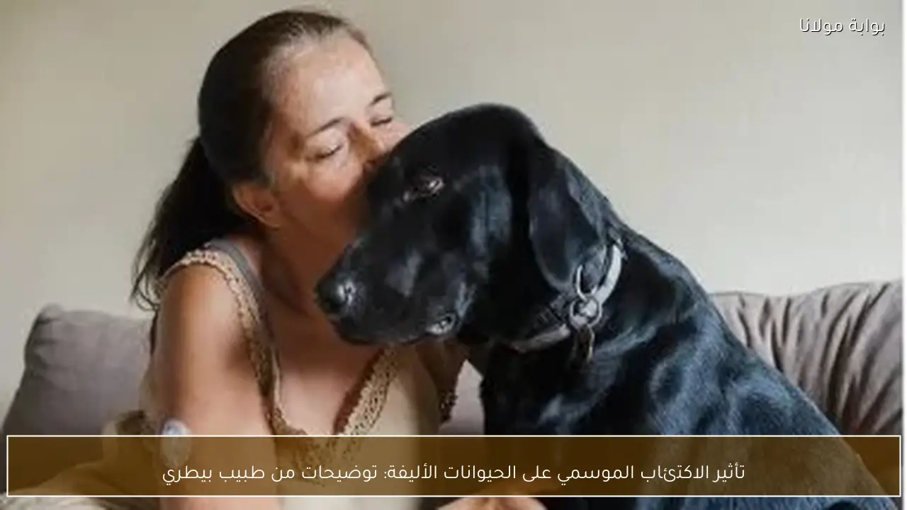 تأثير الاكتئاب الموسمي على الحيوانات الأليفة: توضيحات من طبيب بيطري