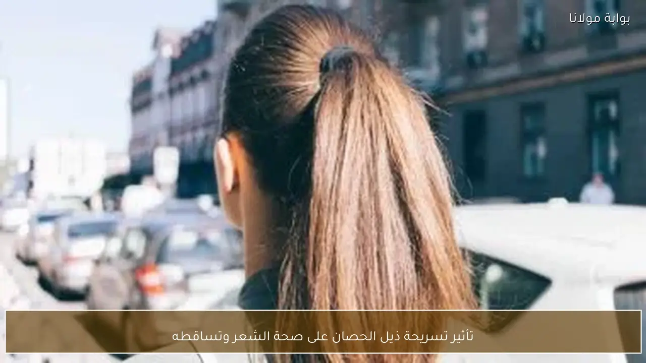 تأثير تسريحة ذيل الحصان على صحة الشعر وتساقطه