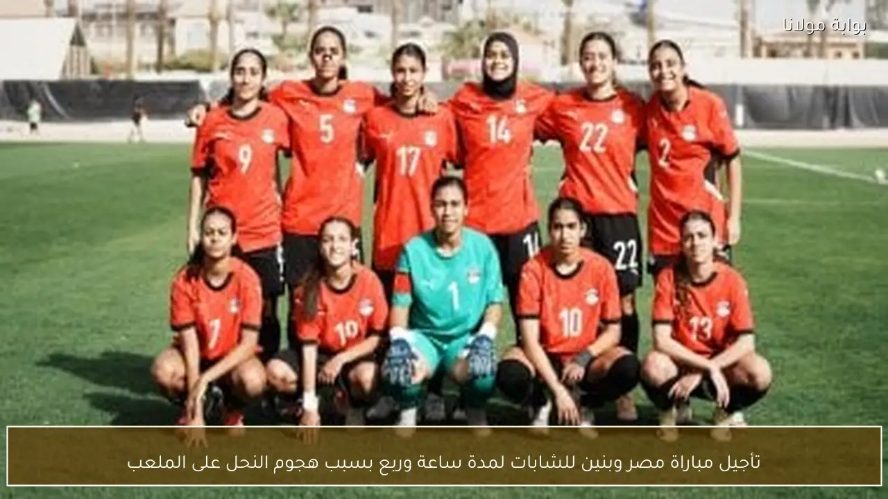 تأجيل مباراة مصر وبنين للشابات لمدة ساعة وربع بسبب هجوم النحل على الملعب