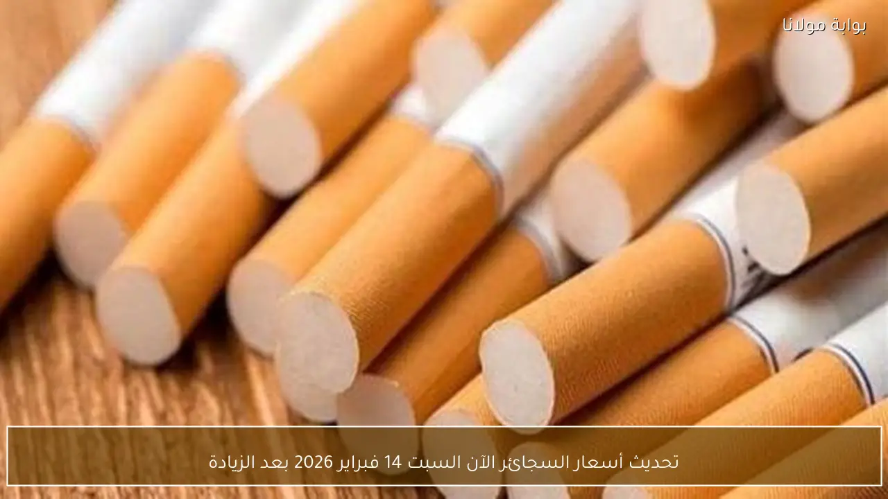 تحديث أسعار السجائر الآن السبت 14 فبراير 2026 بعد الزيادة