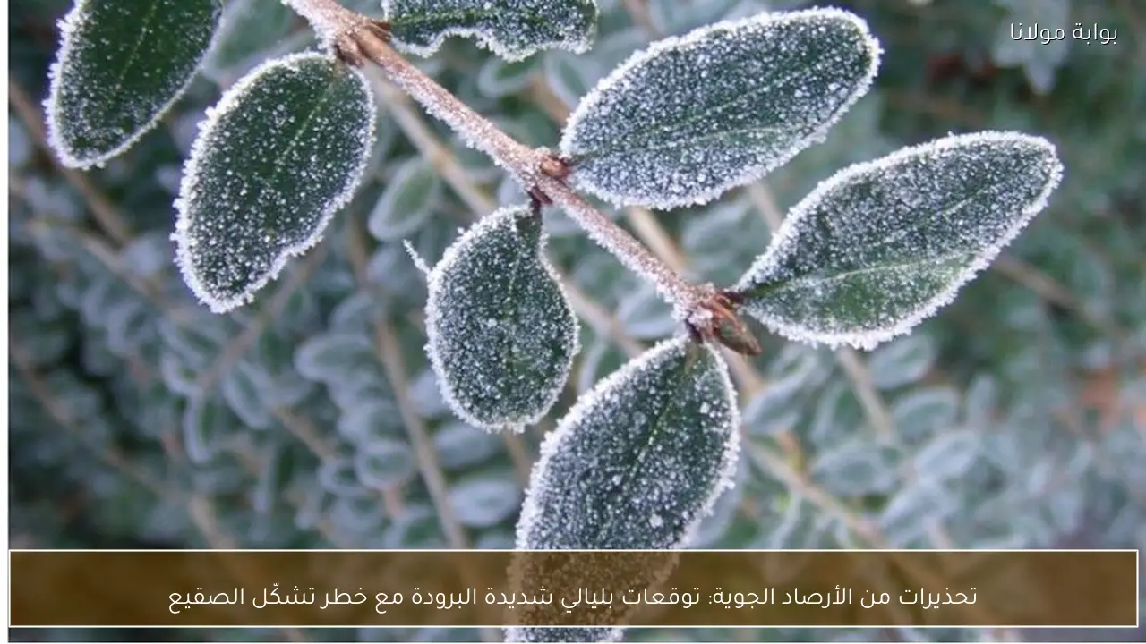 تحذيرات من الأرصاد الجوية: توقعات بليالي شديدة البرودة مع خطر تشكّل الصقيع