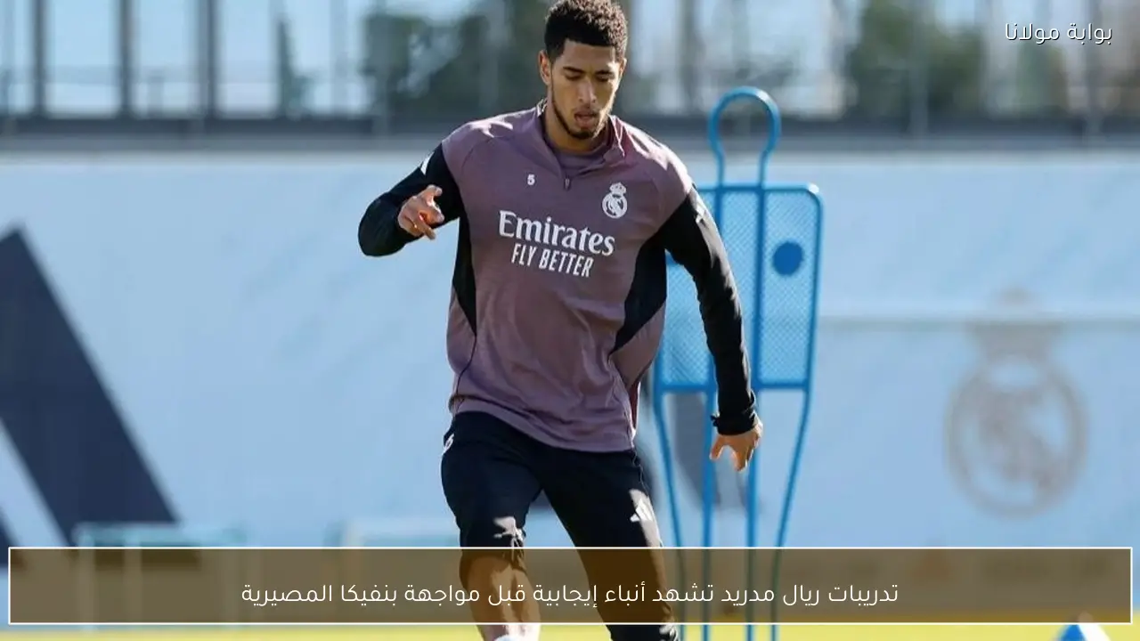 تدريبات ريال مدريد تشهد أنباء إيجابية قبل مواجهة بنفيكا المصيرية