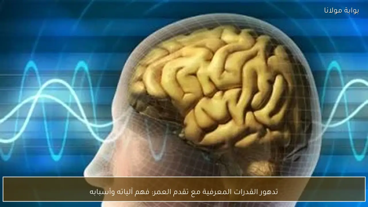 تدهور القدرات المعرفية مع تقدم العمر: فهم آلياته وأسبابه