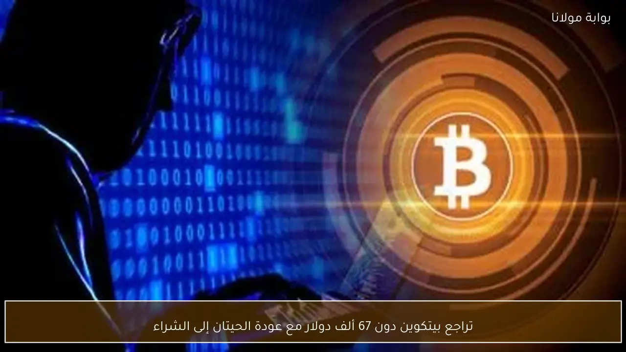 تراجع بيتكوين دون 67 ألف دولار مع عودة الحيتان إلى الشراء