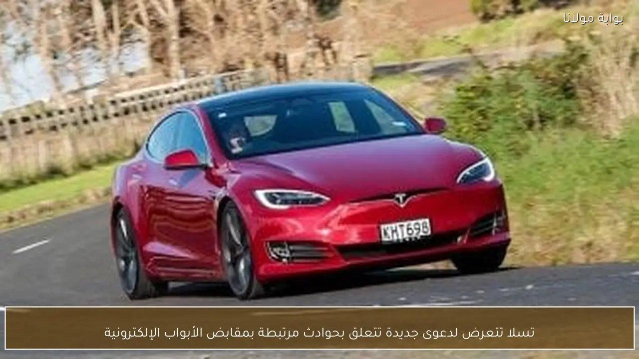 تسلا تتعرض لدعوى جديدة تتعلق بحوادث مرتبطة بمقابض الأبواب الإلكترونية