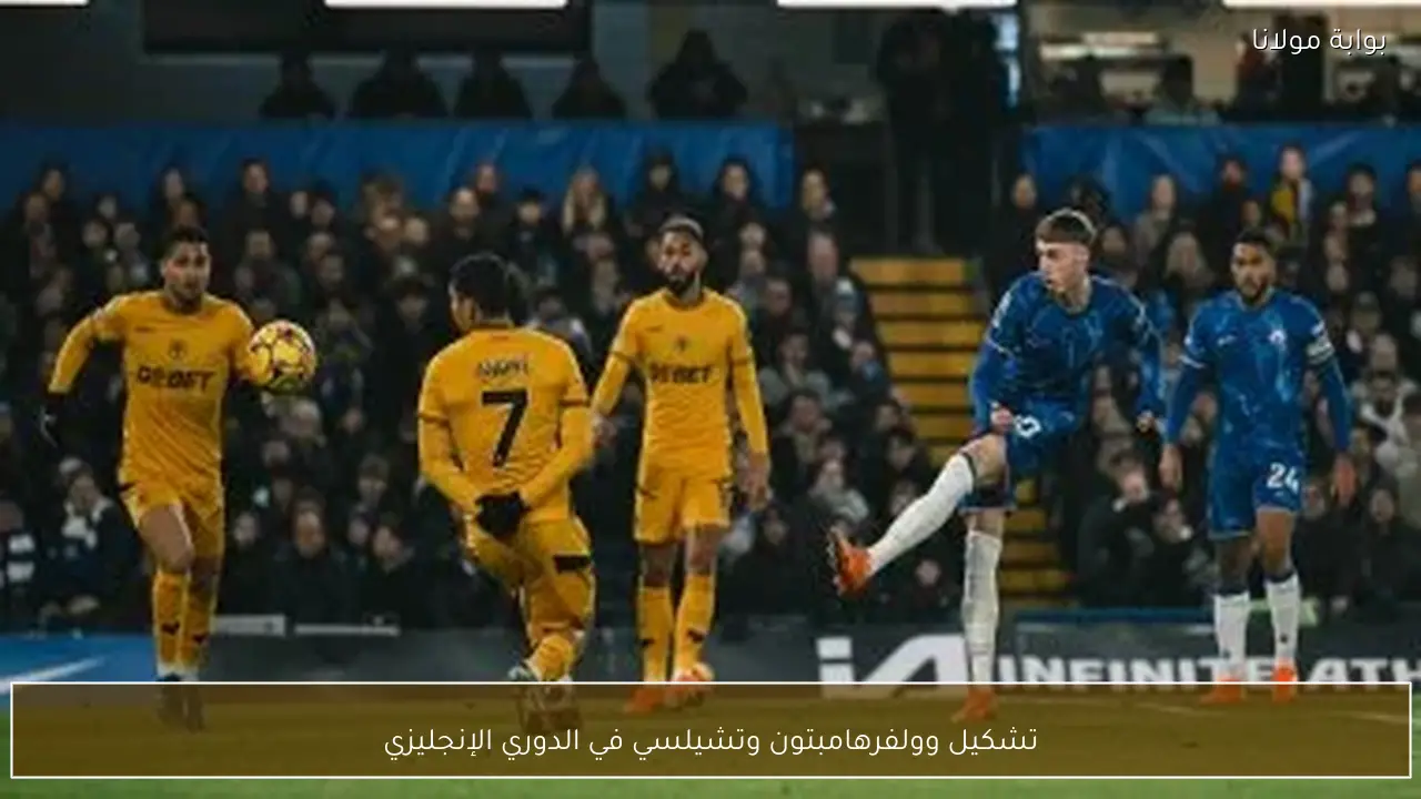 تشكيل وولفرهامبتون وتشيلسي في الدوري الإنجليزي