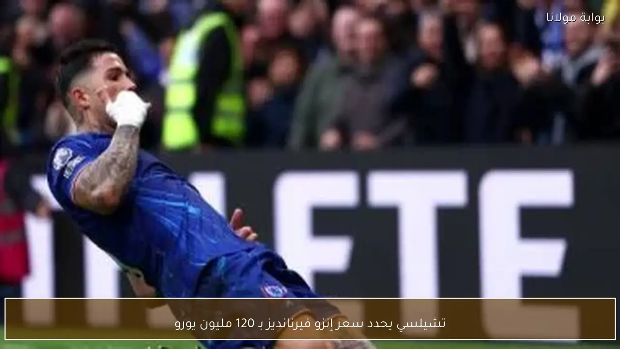 تشيلسي يحدد سعر إنزو فيرنانديز بـ 120 مليون يورو