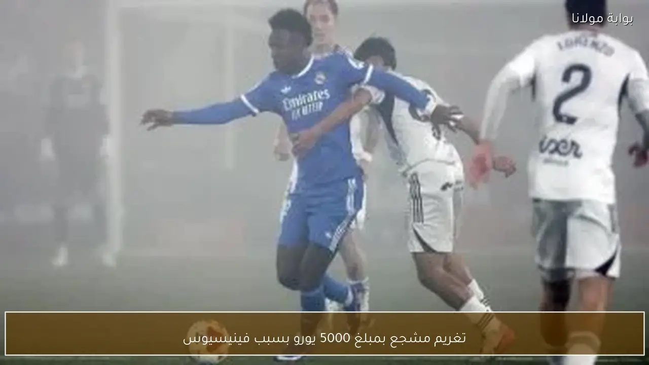 تغريم مشجع بمبلغ 5000 يورو بسبب فينيسيوس