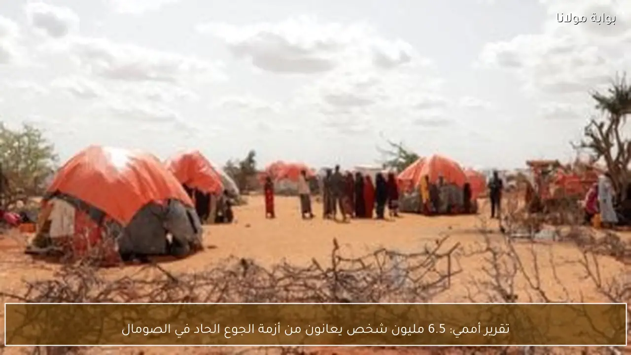 تقرير أممي: 6.5 مليون شخص يعانون من أزمة الجوع الحاد في الصومال