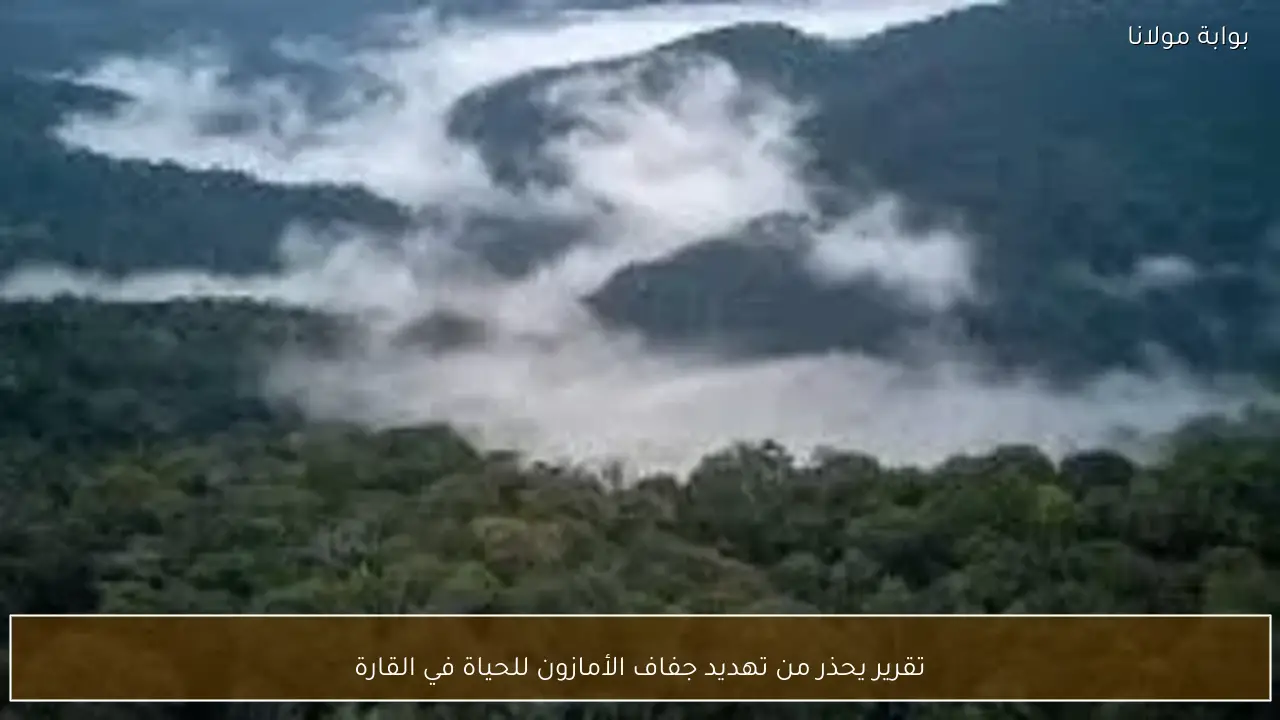 تقرير يحذر من تهديد جفاف الأمازون للحياة في القارة