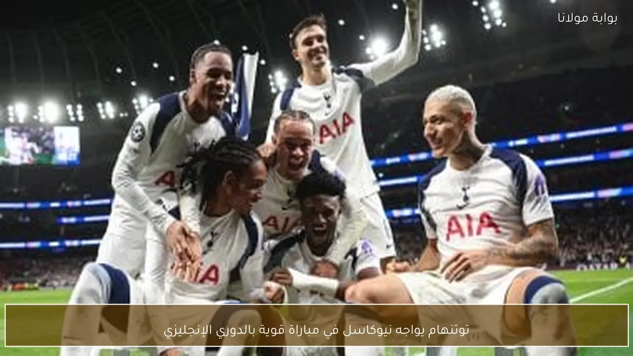 توتنهام يواجه نيوكاسل في مباراة قوية بالدوري الإنجليزي