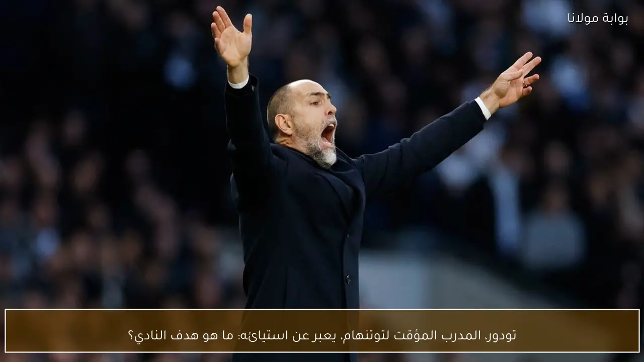 تودور، المدرب المؤقت لتوتنهام، يعبر عن استيائه: ما هو هدف النادي؟