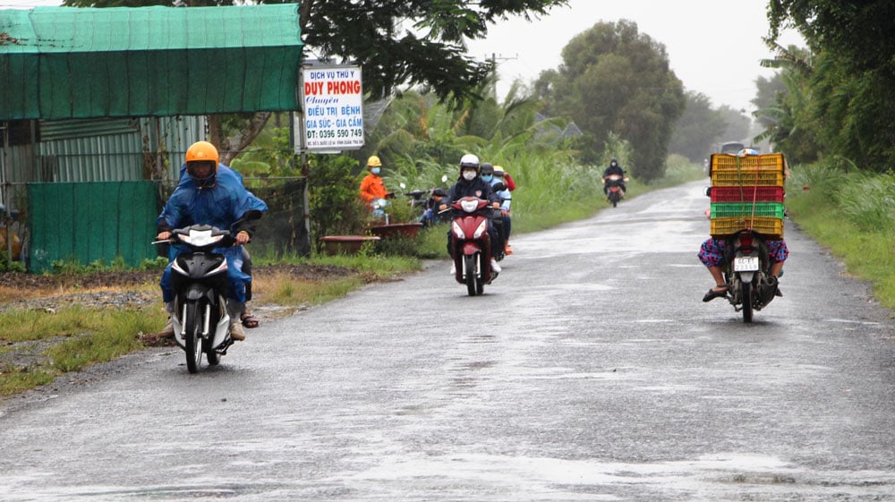 من المرجح أن تستمر الأمطار غير الموسمية حتى 28 فبراير.