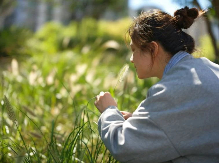 تدريب الذكاء الاصطناعي كيفية استشعار الروائح.