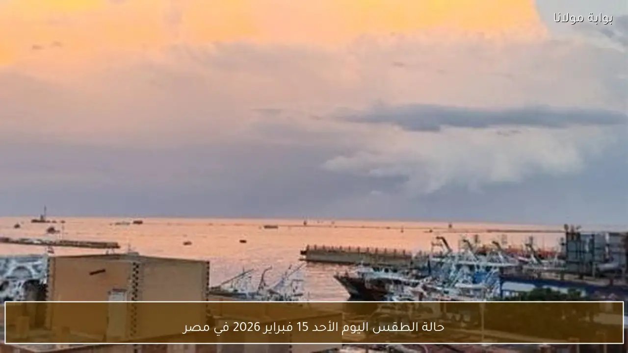 حالة الطقس اليوم الأحد 15 فبراير 2026 في مصر