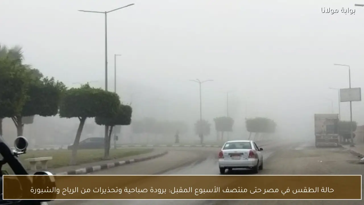 حالة الطقس في مصر حتى منتصف الأسبوع المقبل: برودة صباحية وتحذيرات من الرياح والشبورة