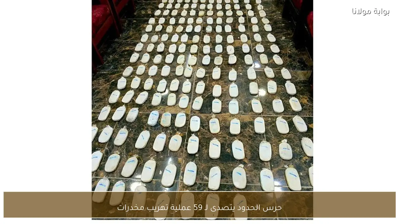 حرس الحدود يتصدى لـ 59 عملية تهريب مخدرات