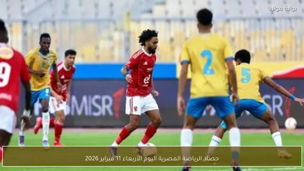 حصاد الرياضة المصرية اليوم الأربعاء 11 فبراير 2026