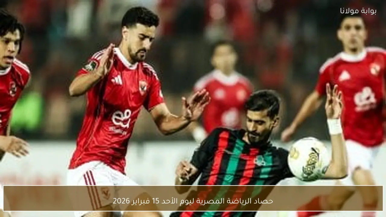 حصاد الرياضة المصرية ليوم الأحد 15 فبراير 2026