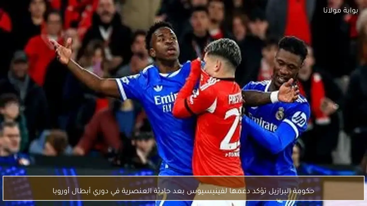 حكومة البرازيل تؤكد دعمها لفينيسيوس بعد حادثة العنصرية في دوري أبطال أوروبا