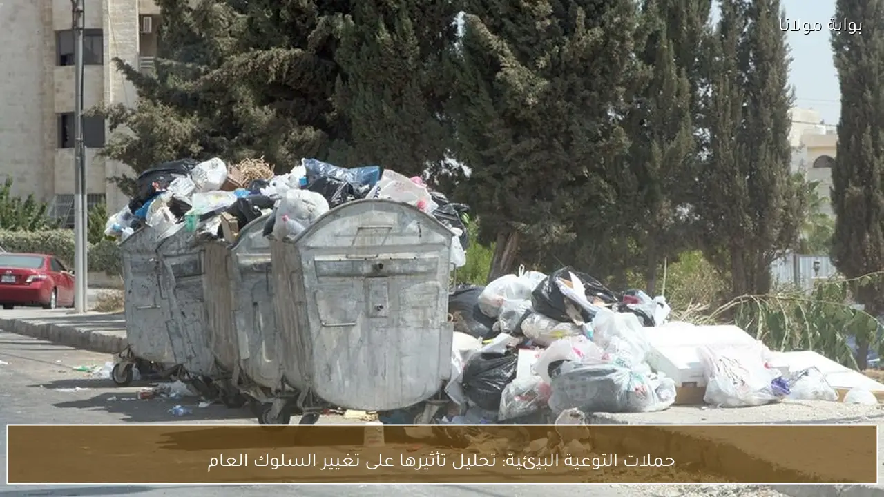 حملات التوعية البيئية: تحليل تأثيرها على تغيير السلوك العام