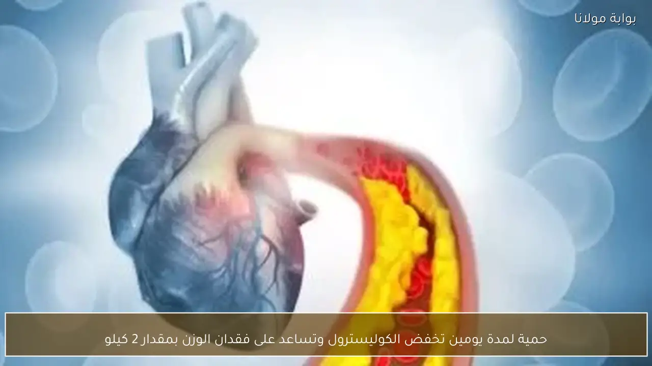 حمية لمدة يومين تخفض الكوليسترول وتساعد على فقدان الوزن بمقدار 2 كيلو