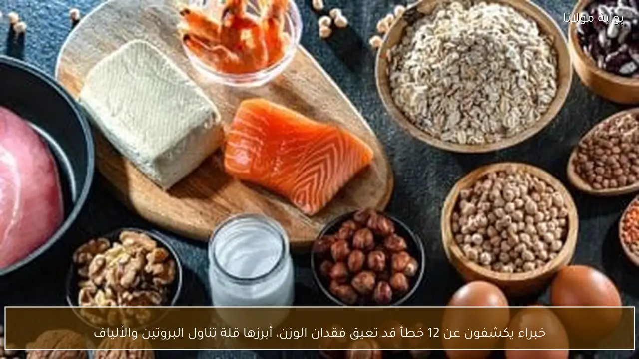 خبراء يكشفون عن 12 خطأ قد تعيق فقدان الوزن، أبرزها قلة تناول البروتين والألياف