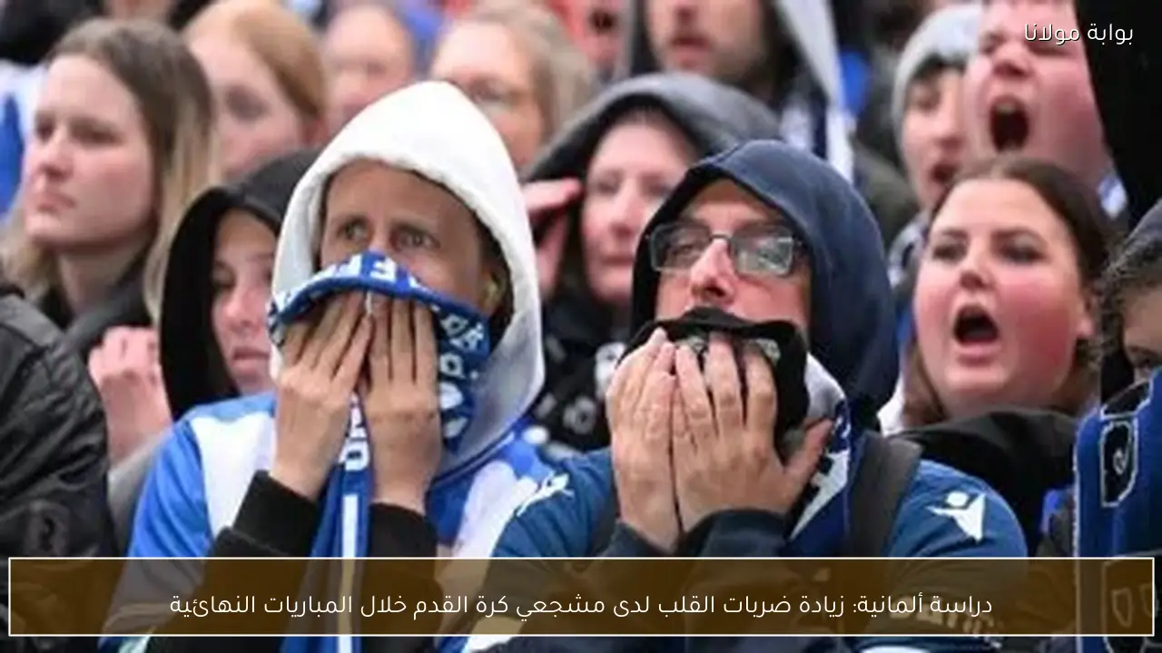 دراسة ألمانية: زيادة ضربات القلب لدى مشجعي كرة القدم خلال المباريات النهائية