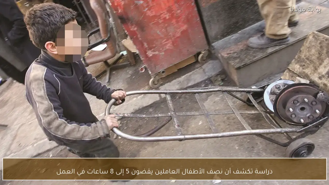 دراسة تكشف أن نصف الأطفال العاملين يقضون 5 إلى 8 ساعات في العمل