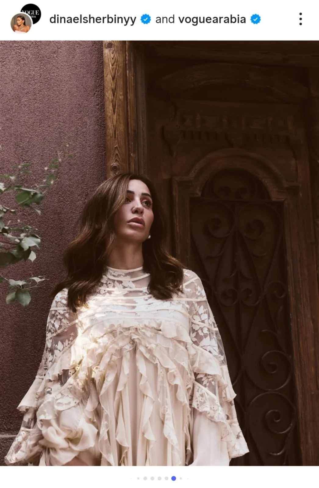 دينا الشربيني (2)