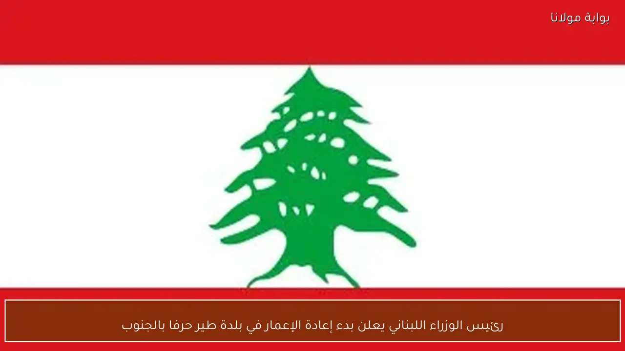 رئيس الوزراء اللبناني يعلن بدء إعادة الإعمار في بلدة طير حرفا بالجنوب