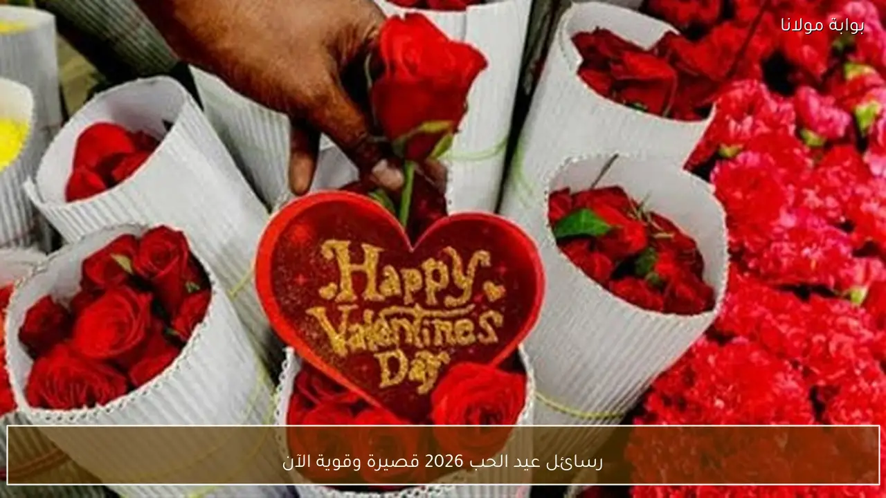 رسائل عيد الحب 2026 قصيرة وقوية الآن