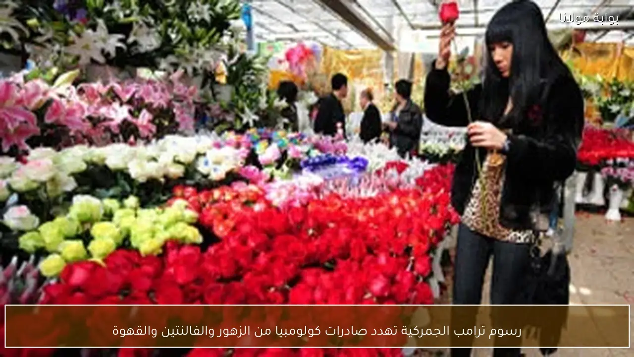 رسوم ترامب الجمركية تهدد صادرات كولومبيا من الزهور والفالنتين والقهوة