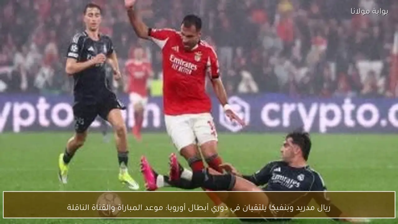 ريال مدريد وبنفيكا يلتقيان في دوري أبطال أوروبا: موعد المباراة والقناة الناقلة