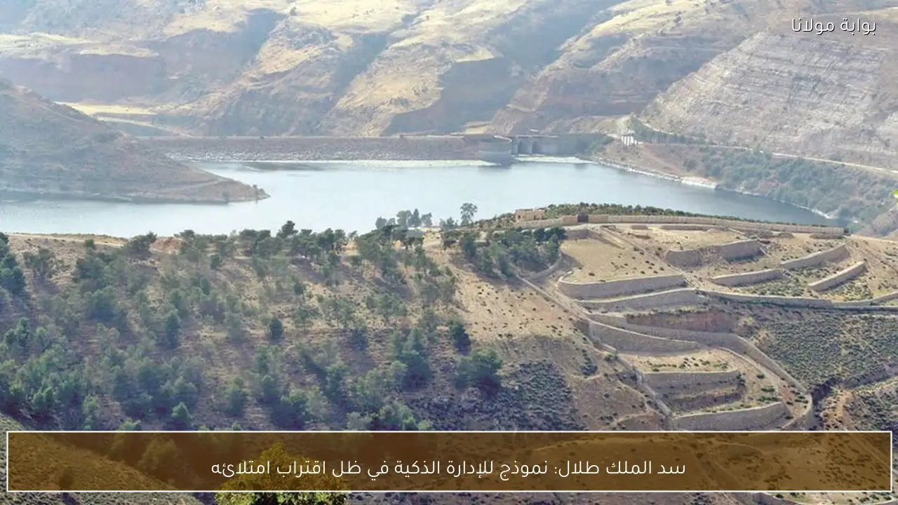 سد الملك طلال: نموذج للإدارة الذكية في ظل اقتراب امتلائه