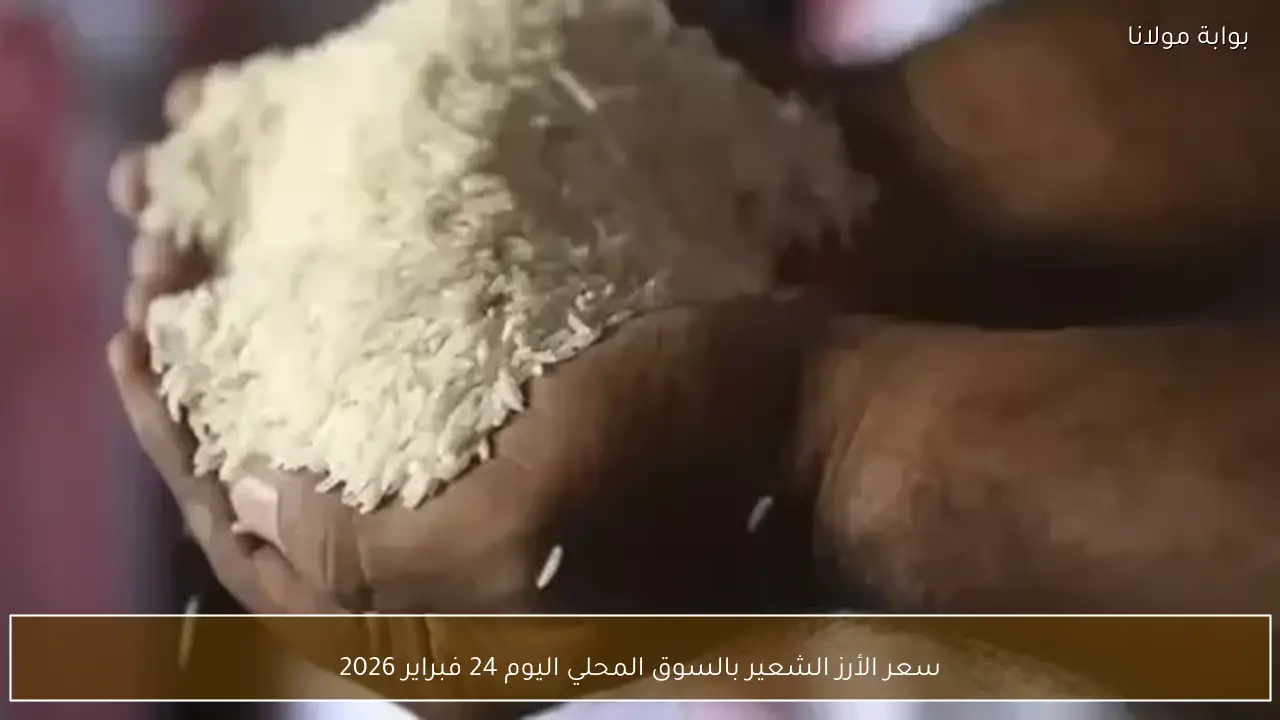 سعر الأرز الشعير بالسوق المحلي اليوم 24 فبراير 2026