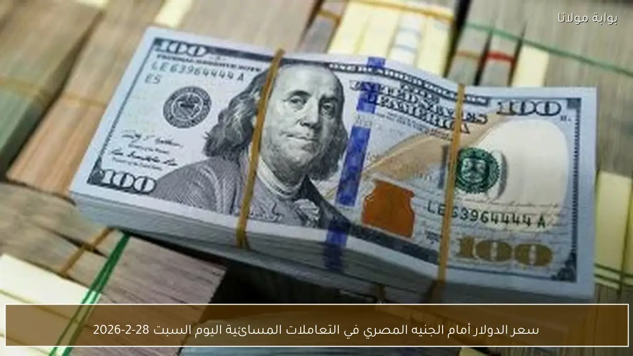 سعر الدولار أمام الجنيه المصري في التعاملات المسائية اليوم السبت 28-2-2026
