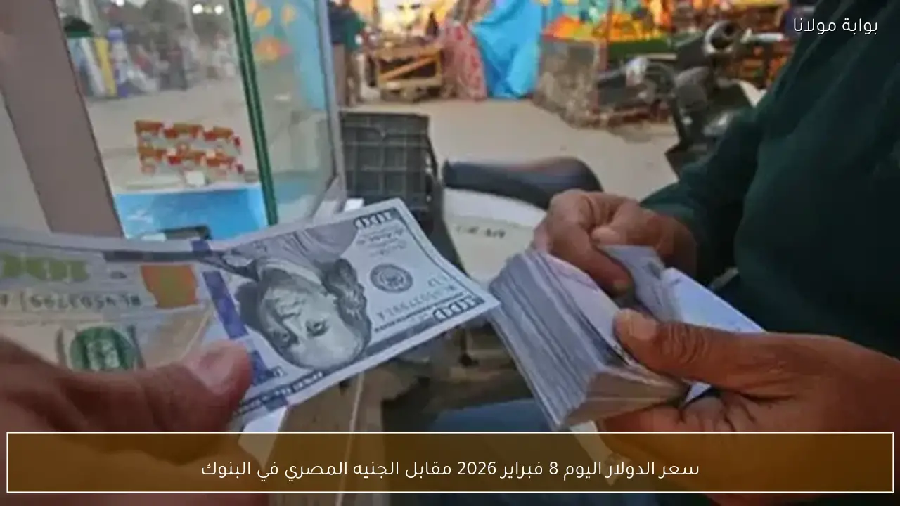 سعر الدولار اليوم 8 فبراير 2026 مقابل الجنيه المصري في البنوك