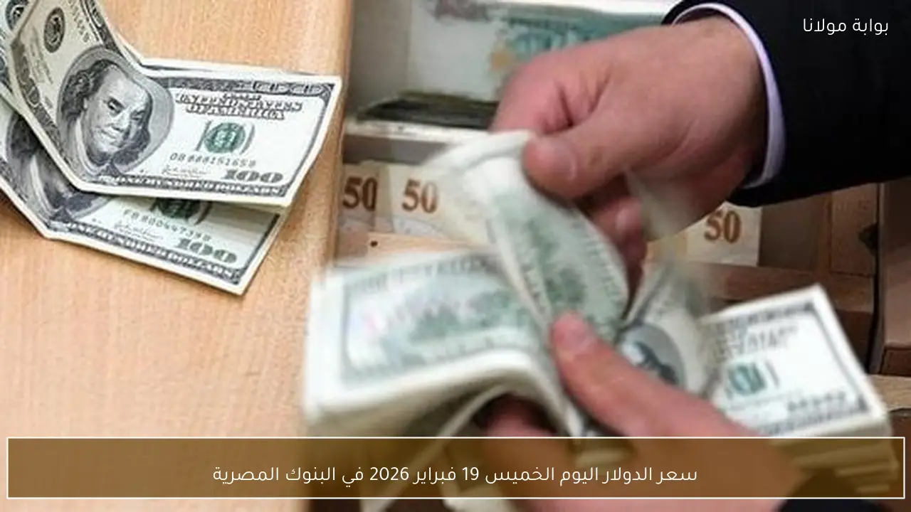 سعر الدولار اليوم الخميس 19 فبراير 2026 في البنوك المصرية